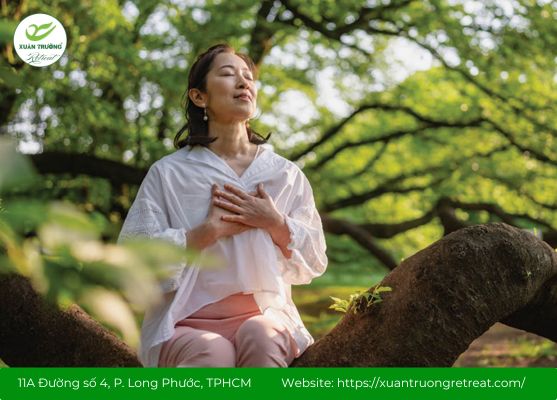 Forest Bathing