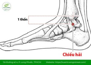 Huyệt Chiếu Hải